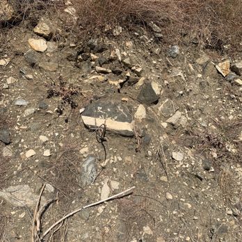 Lopez Canyon Park - Lots of geology going on here all at once it seems - Hiking Near Me - Sylmar, California