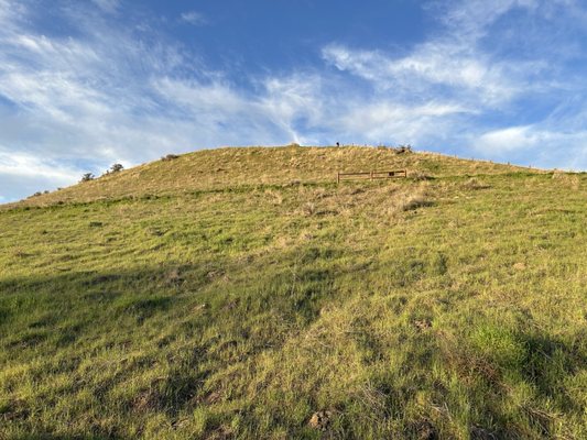 Camel’s Back Park by null