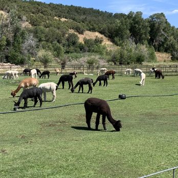 Blue Moon Ranch - Ranches Near Me - Kamas, Utah Blue Moon Ranch - Ranches Near Me - Kamas, Utah