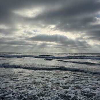 Torrey Pines State Reserve - Parks Near Me - La Jolla, California