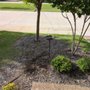 Photo of Olin Landscape Maintenance