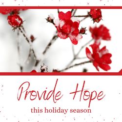 Hope's Door Resale Store - Help to PROVIDE HOPE this holiday season.  Hdnbc.org/holiday