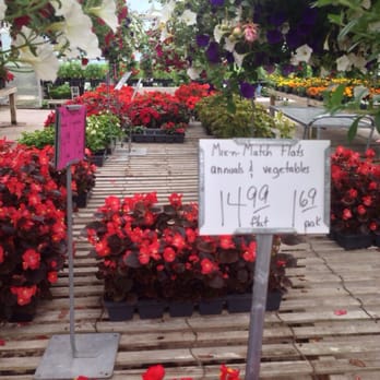 Thome Farms Greenhouse - Nurseries & Gardening Near Me - Elyria, Ohio Thome Farms Greenhouse - Nurseries & Gardening Near Me - Elyria, Ohio