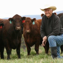 Novy Ranches - Doc Novy and humanely raised cattle