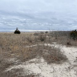 The Connecticut Audubon Society - the mouth of the Housatonic River meets Long Island Sound