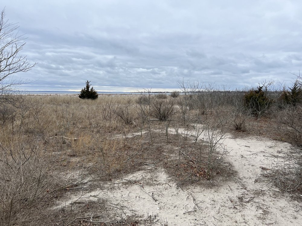 The Connecticut Audubon Society