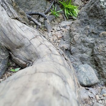 Chewacla State Park - Parks Near Me - Auburn, Alabama