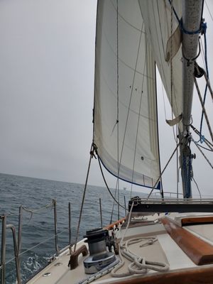Sail Channel Islands by null