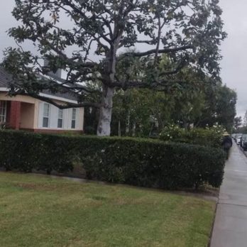 B&M Tree Service - Tree Services Near Me B&M Tree Service - Tree Services Near Me