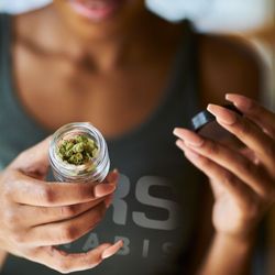 JARS Cannabis