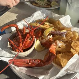Lobster Lobster