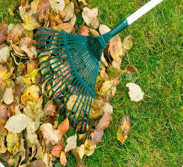 Evergreen Ponds Cleaning Service