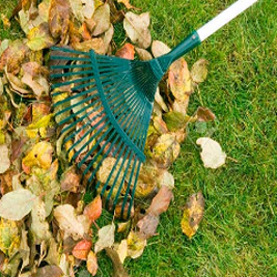 Evergreen Ponds Cleaning Service