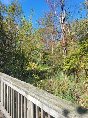 Audubon Society of Rhode Island Nature Center and Aquarium by null