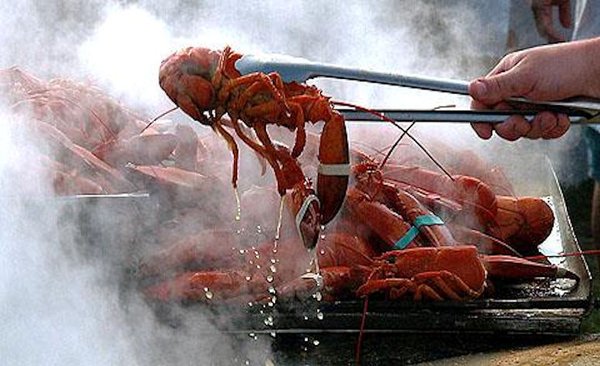 Au Provençal by null