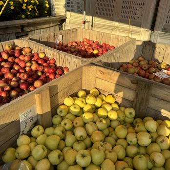 Jericho Cider Mill - Apples - Fruits & Veggies Near Me - Jericho, New York