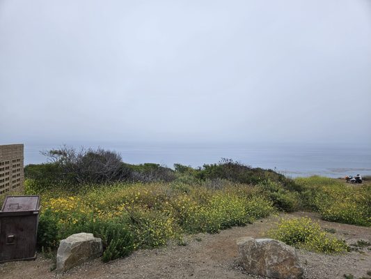 El Matador State Beach by null
