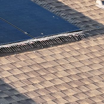 Martinez Pressure Washing - Solar Panel Cleaning Near Me - Merced, California Martinez Pressure Washing - Solar Panel Cleaning Near Me - Merced, California