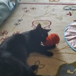 Wu-Fang