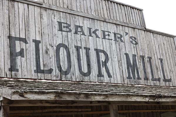Baker Creek Heirloom Seed Company by null