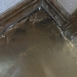 Concrete Creations - Here's another corner that wasn't sanded. And no top coat.