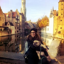 Can You Handle It Tours - Con Aesop el perro-guía, en uno de los mejores lugares para fotos, que aparece en la película "Escondidos en Brujas".