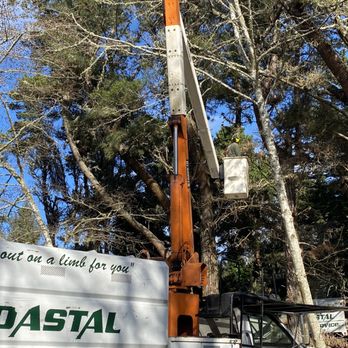 Coastal Tree Service - Tree Services Near Me - Mckinleyville, California Coastal Tree Service - Tree Services Near Me - Mckinleyville, California