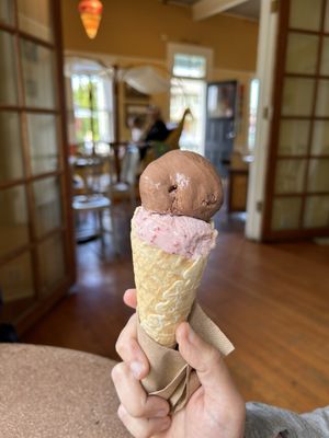 Arcata Scoop by null