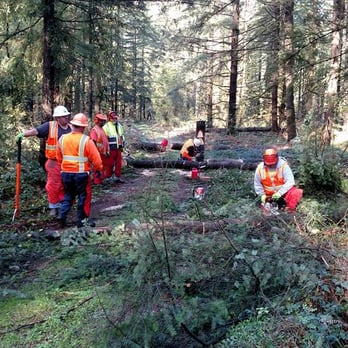 Hofmeister Tree Service - Tree Services Near Me Hofmeister Tree Service - Tree Services Near Me