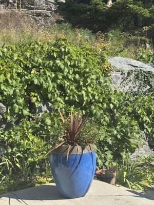 Woods Bay Wine by null