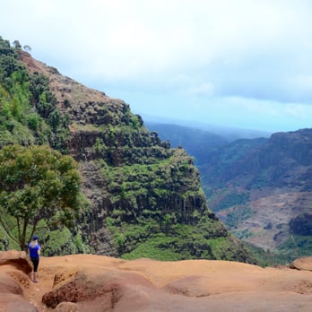 Puu Hinahina Lookout - View of the canyon. - Parks Near Me - Waimea, Hawaii Puu Hinahina Lookout - View of the canyon. - Parks Near Me - Waimea, Hawaii