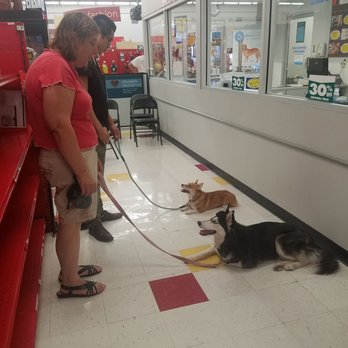 Lucky Dog Training - Pet Training Near Me - Houston, Texas Lucky Dog Training - Pet Training Near Me - Houston, Texas