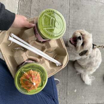 Matcha Magic Bellevue - Take out! - Coffee & Tea Near Me - Bellevue, Washington Matcha Magic Bellevue - Take out! - Coffee & Tea Near Me - Bellevue, Washington
