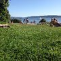 Photo of Huk Nudiststrand