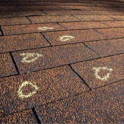 Pearson Family Roofing - Asphalt shingle roof with hail damage outlined in chalk.