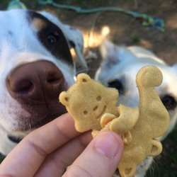 Crossed Paws Bakery