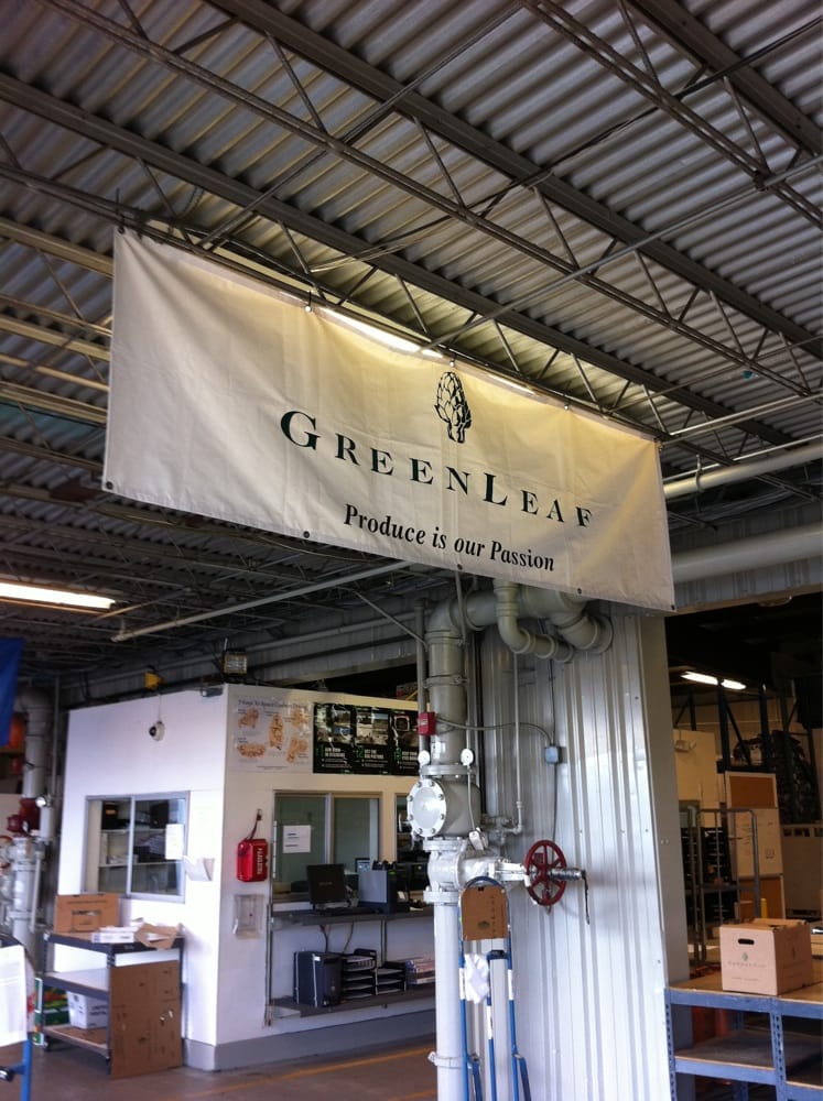 GREENLEAF Updated September 2024 453 Valley Dr, Brisbane