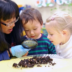 International School of Portland