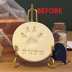 Tova Cooper  Educational Advocate - Paw print before dropping off to Tova