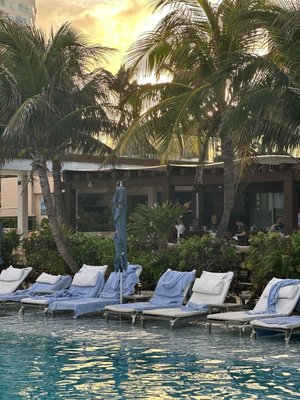 Secrets The Vine Cancun by null