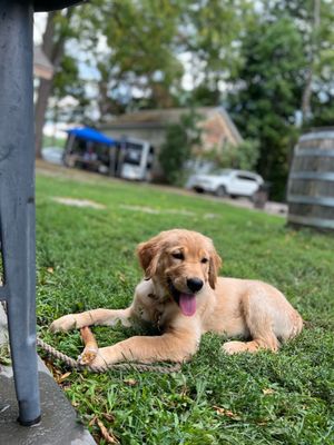 Cooper's Daughter Spirits by null