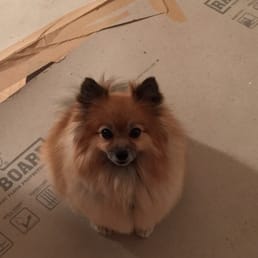 Right after his salon day. Right after his salon day.