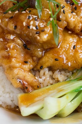 OKA Restaurant Primrose Hill by null