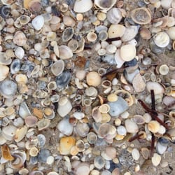 Grange Beach