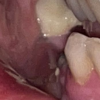 K&H Dental - Cosmetic Dentists Near Me - Clovis, California
