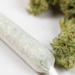 Starbuds