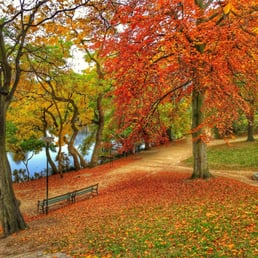 One of Copenhagen's most beautiful central parks. Especially in spring and autumn.