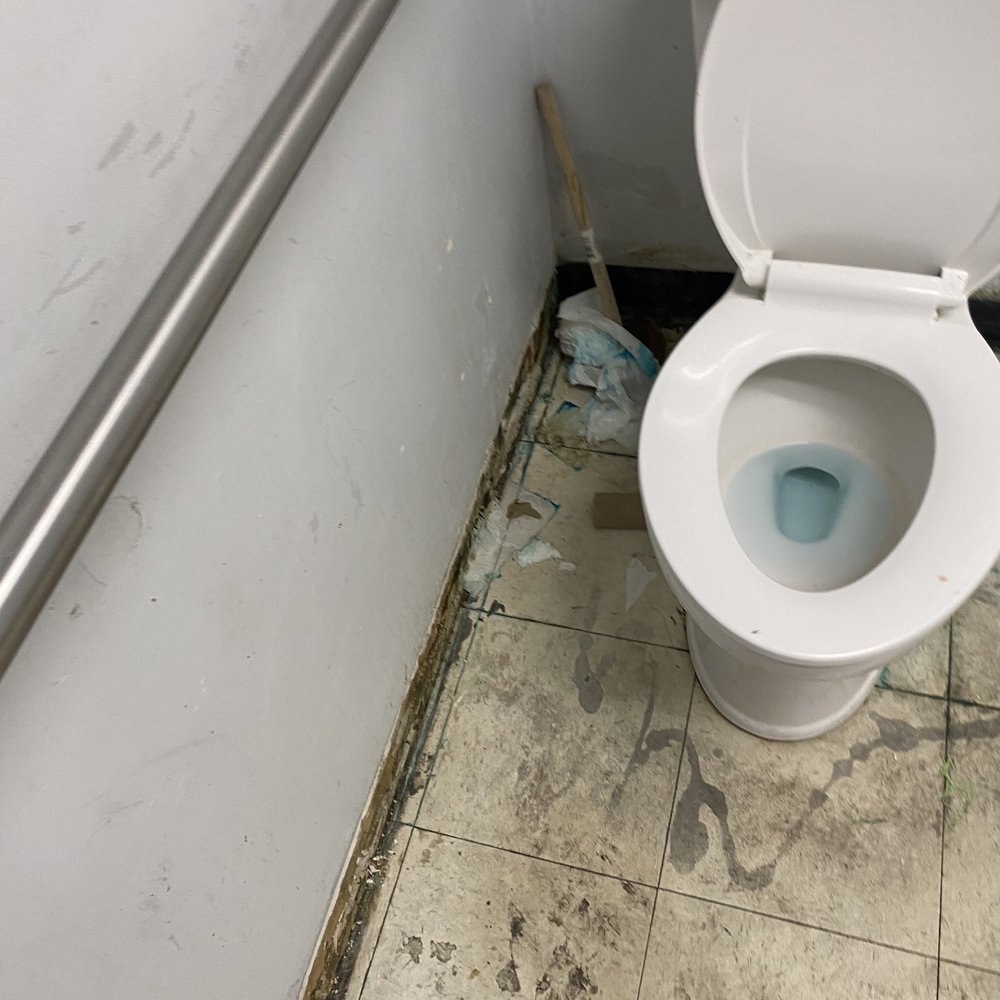 Dollar Tree - Disgusting - Discount Store Near Me - Saint Augustine, Florida