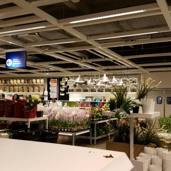 IKEA - Floral department - Home Decor Near Me - Orlando, Florida