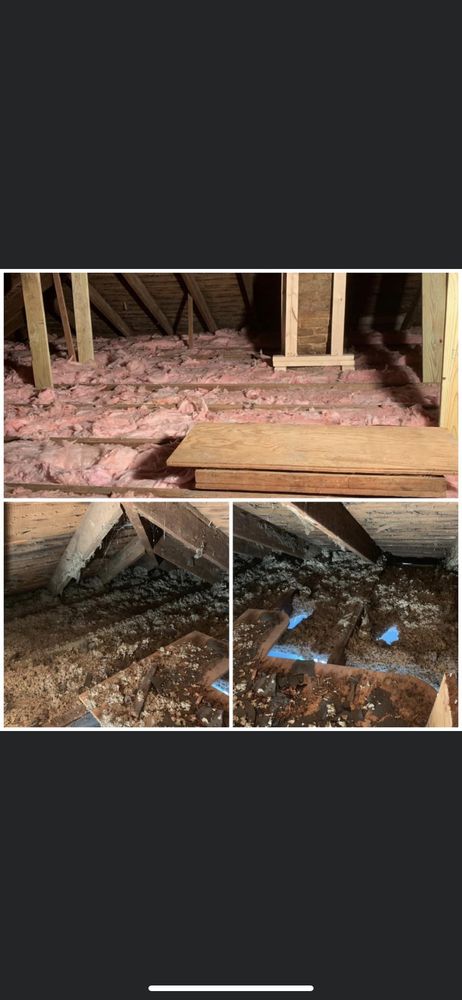 Slide of Michael-Angelo’s Home Improvement